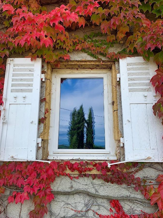 Le Gite De Buffetieres Saint-Romain-de-Popey エクステリア 写真