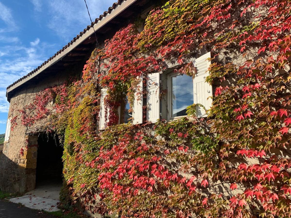 Le Gite De Buffetieres Saint-Romain-de-Popey エクステリア 写真