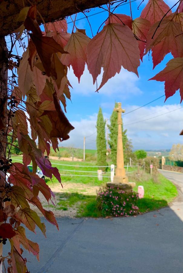 Le Gite De Buffetieres Saint-Romain-de-Popey エクステリア 写真