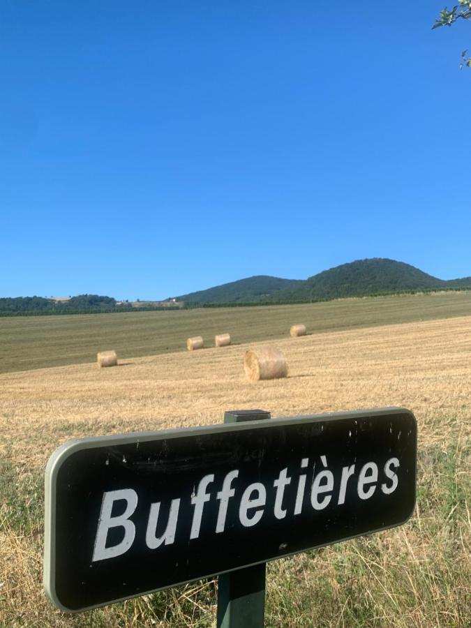 Le Gite De Buffetieres Saint-Romain-de-Popey エクステリア 写真
