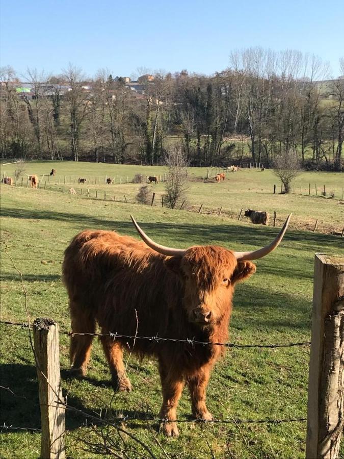 Le Gite De Buffetieres Saint-Romain-de-Popey エクステリア 写真
