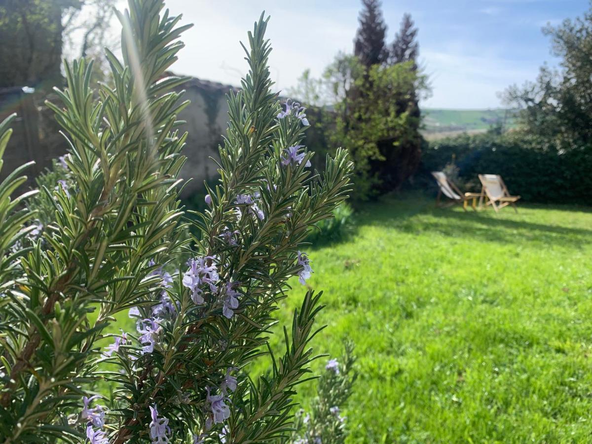 Le Gite De Buffetieres Saint-Romain-de-Popey エクステリア 写真